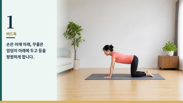 버드독 1