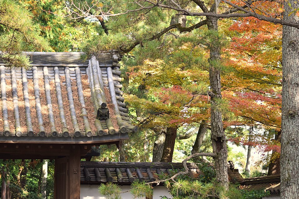 산케이엔 국화 전시와 단풍